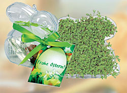 Velikono�n� sklen�k s �e�ichou