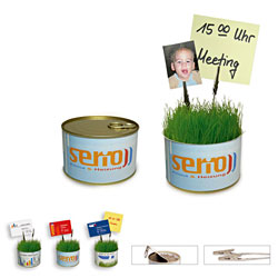 Travi�ka v d�ze s dr��kem vzkaz�